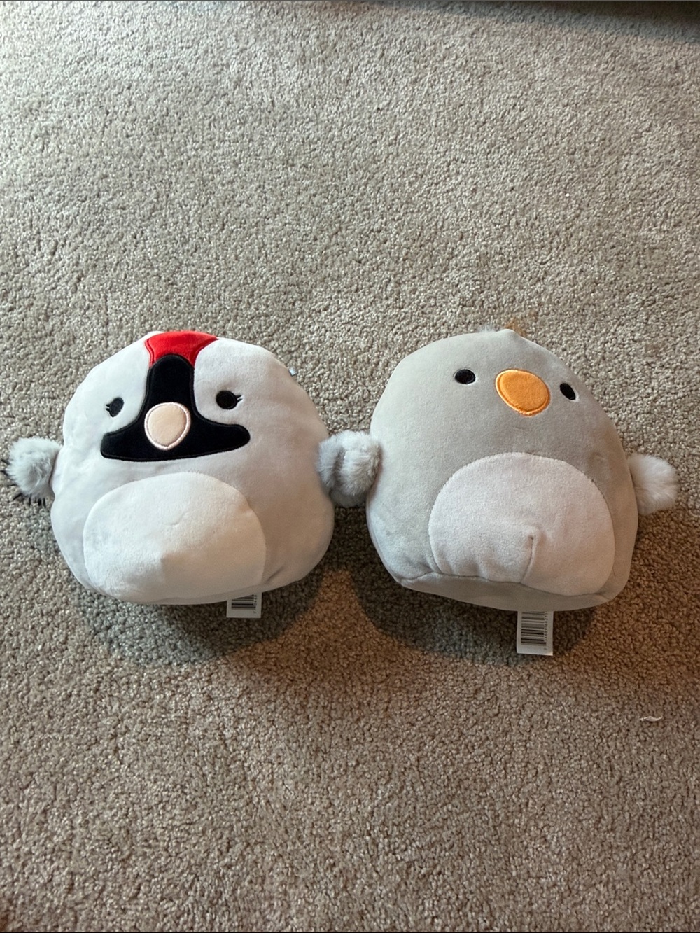 BIRD SQUAD!! Basma The Whooping Crane, & Ferko The Shoebill, Squishmallow Duo!